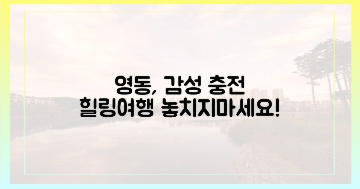 영동에서 감성을 채우세요