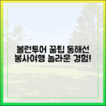 놀라운 '볼런투어'! 동해선 따라 봉사&여행 꿀팁