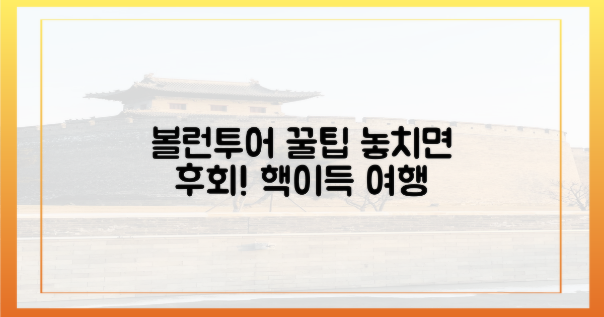 볼런투어, 이것이 꿀팁!