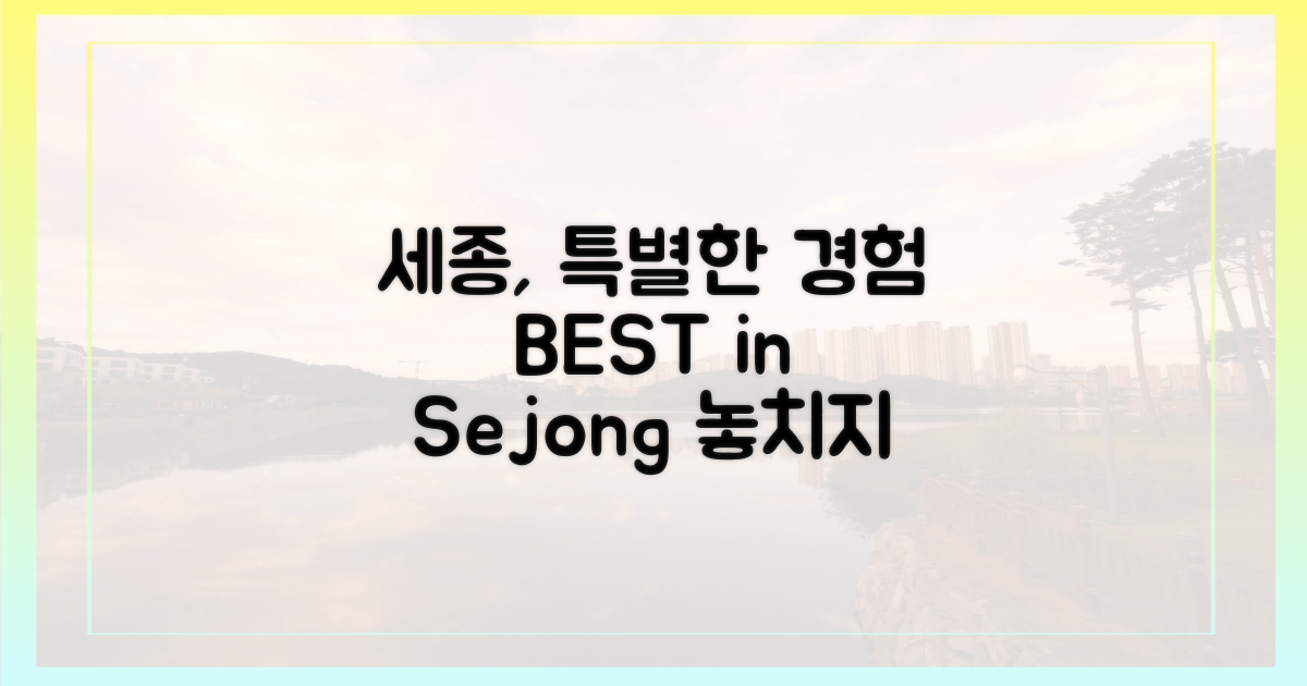 세종에서 특별한 경험을 만끽하세요!