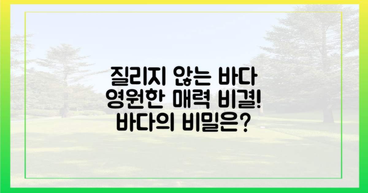 질리지 않는 바다, 비결은 뭘까요?