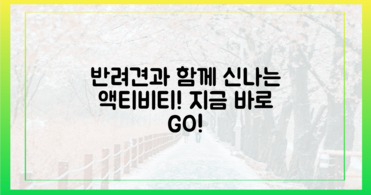 반려견과 함께 즐길 액티비티!