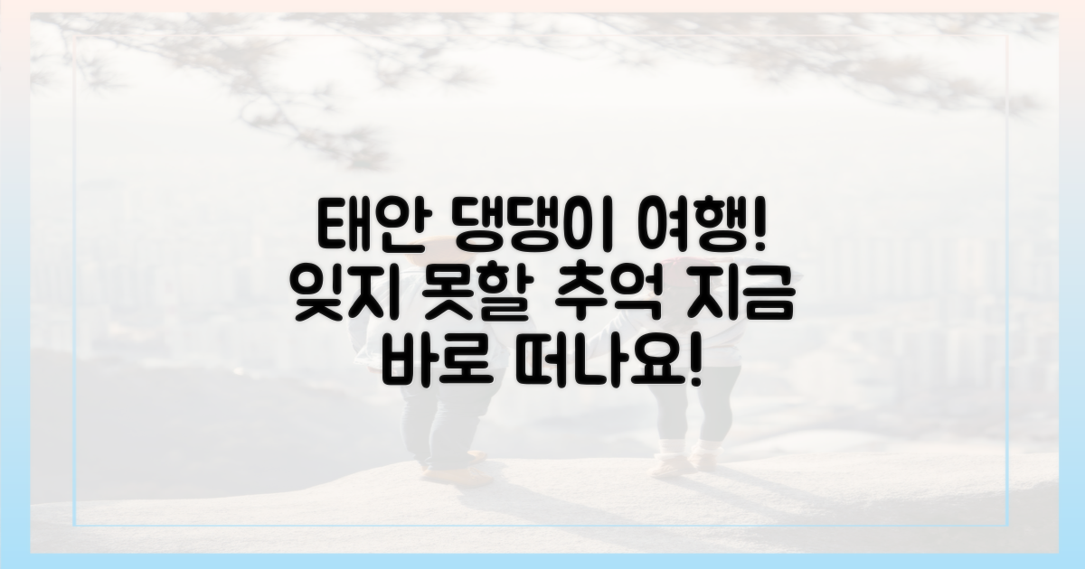 태안에서 댕댕이와 잊지 못할 추억 만드세요!