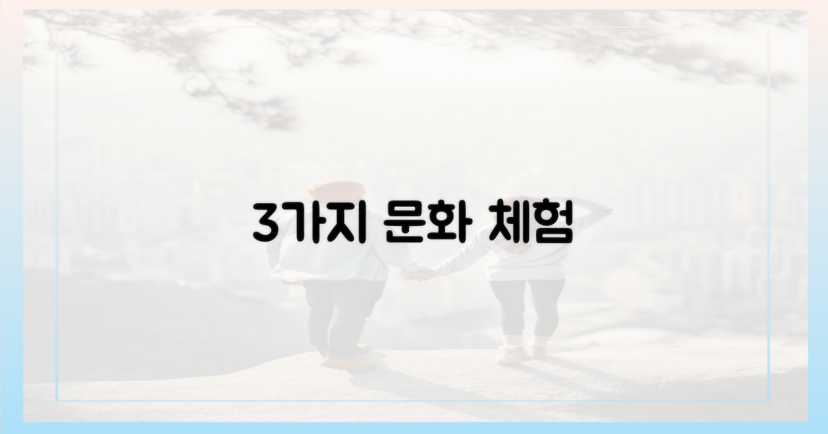 3가지 문화 체험