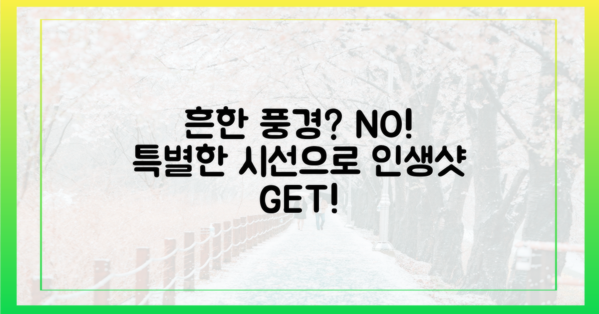 인생샷, 흔한 풍경 vs 특별한 시선