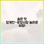 숨은 맛! 청계천~광장시장 뚜벅이, 놀라운 여정!