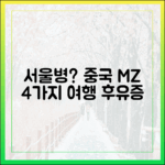 서울병 신드롬? 중국 MZ, 4가지 '서울 여행 후유증