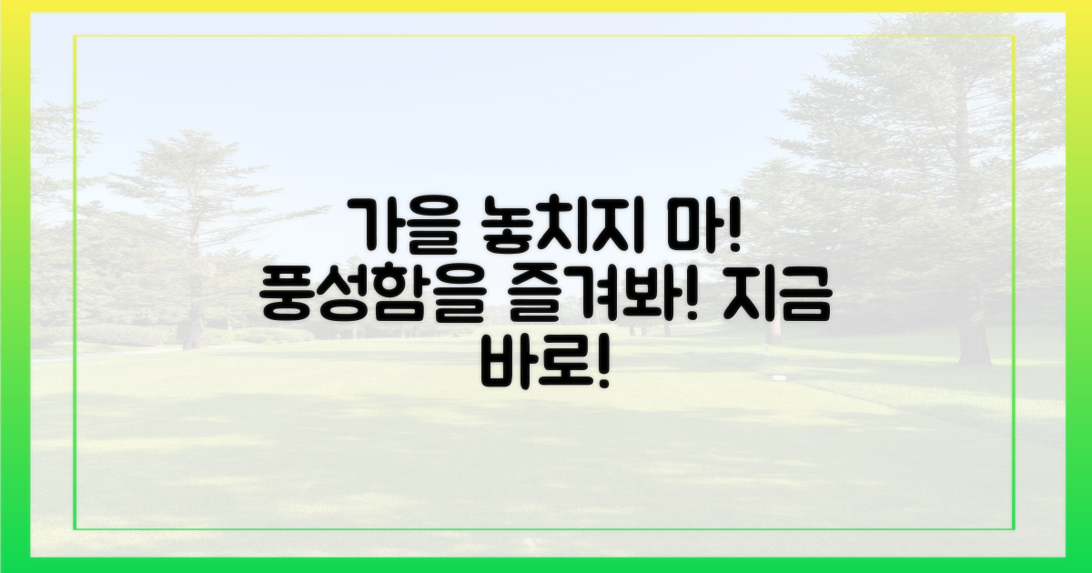 풍성한 가을, 놓치지 마세요!