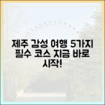 제주 감성 여행 시작! 5가지 필수 코스