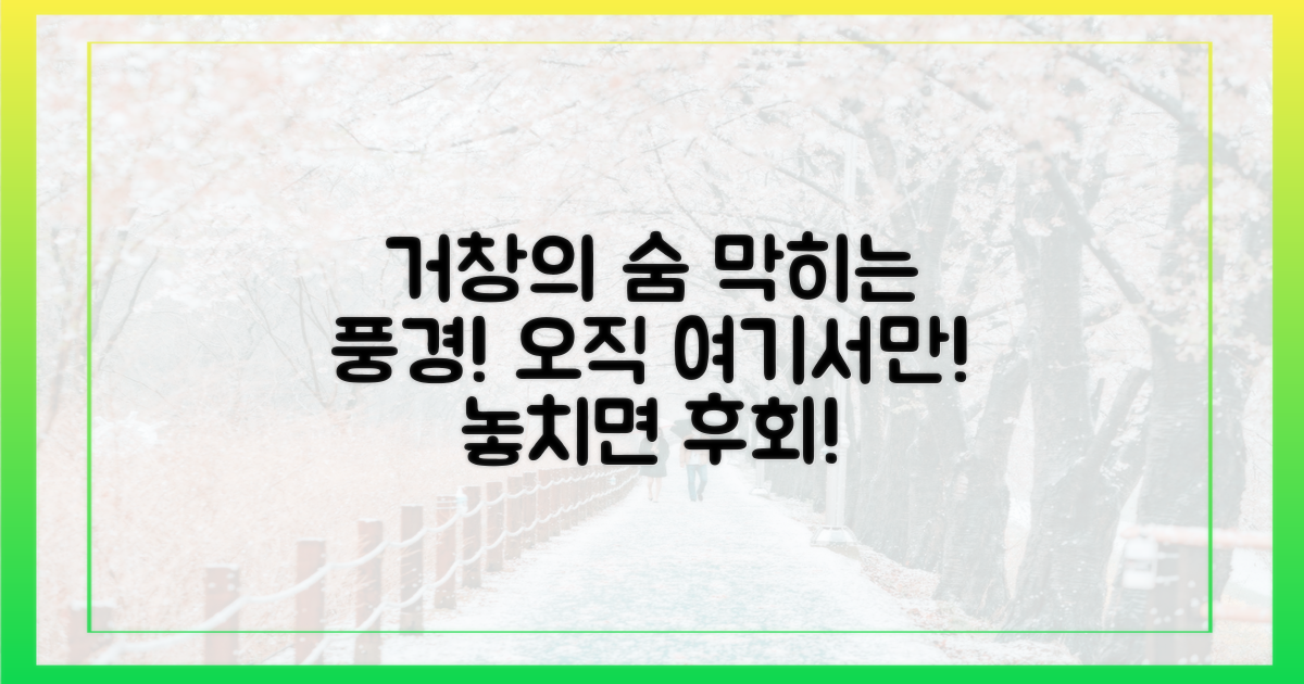 거창에서만 가능한 특별한 풍경은?