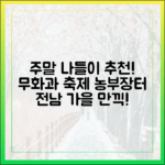 주말 농부장터 5곳, 무화과 축제 2곳: 전남 농업박물관 가을 나들이