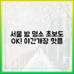 서울 근교 야간개장: 초보도 즐기는 밤 나들이 명소