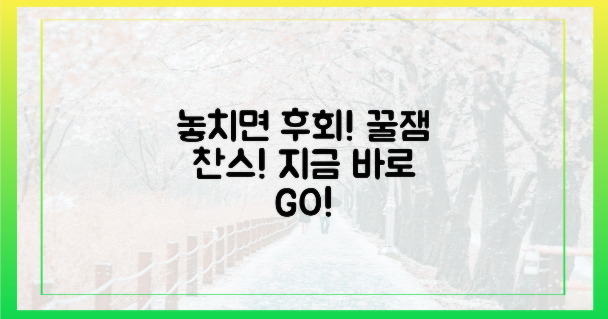 즐길 거리, 놓치지 마세요