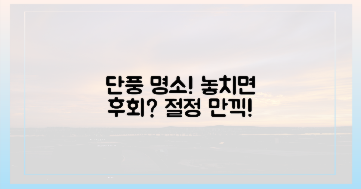 단풍 절정, 놓치면 후회할까?