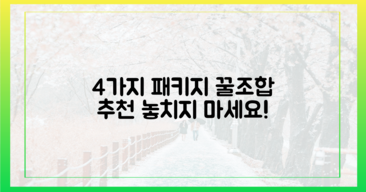 4가지 패키지 구성
