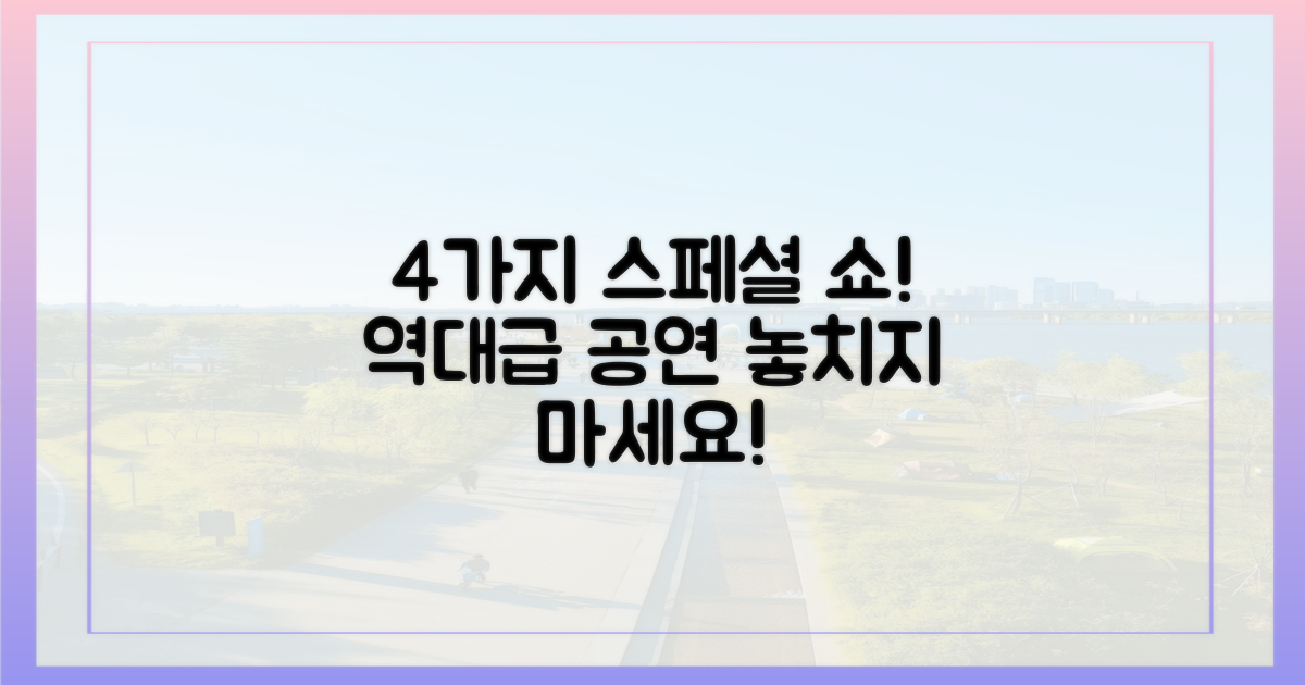 4가지 특별 공연