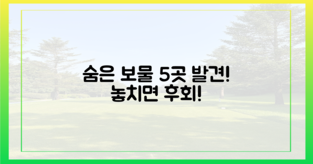 5곳의 숨은 보물 찾기