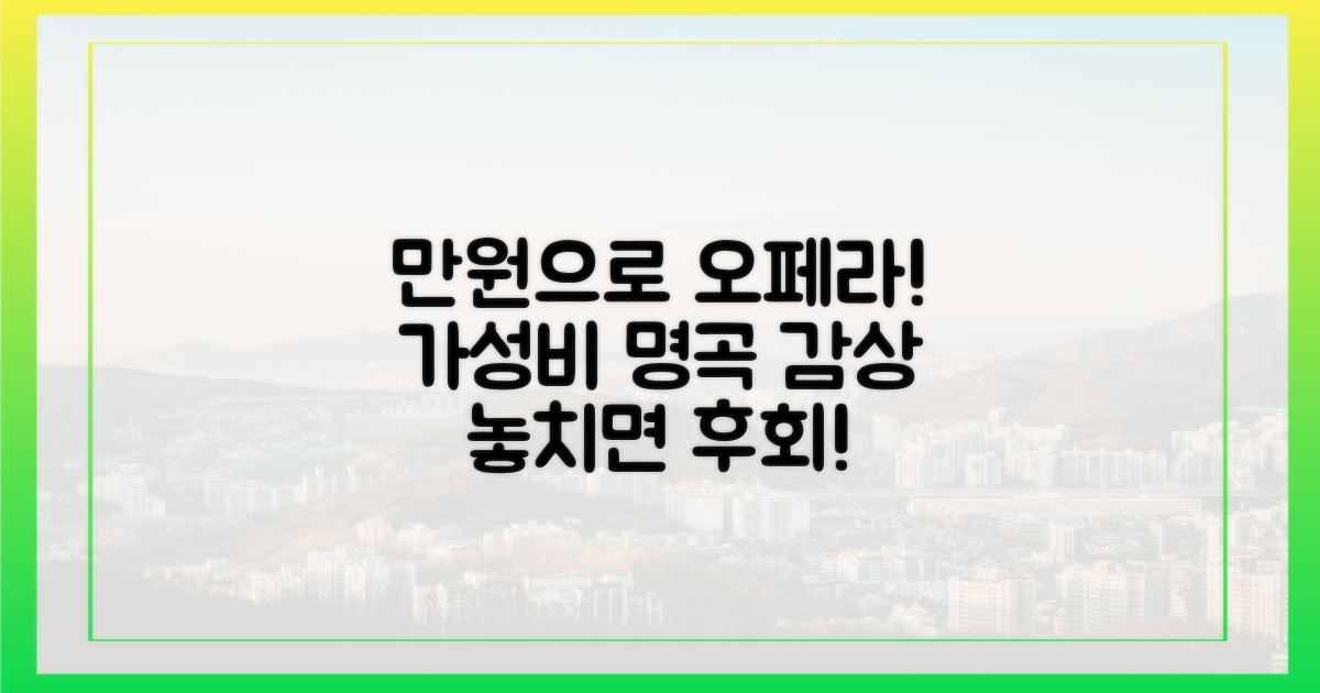 만원으로 오페라 즐기기
