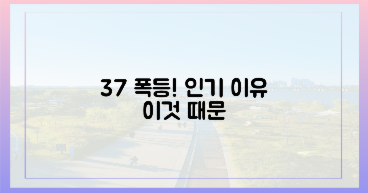 37% 급증, 인기 이유 파헤치기!