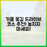 놀라운 가을 꽃축제 드라이브! 코스 공개