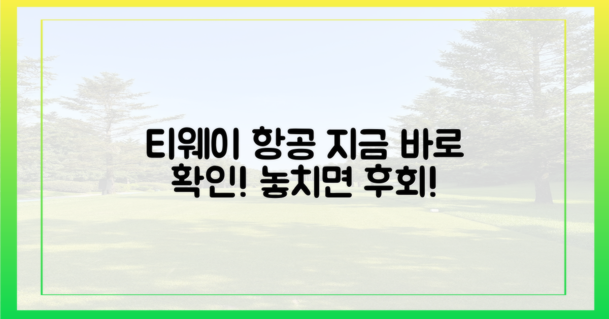 지금 바로 티웨이 항공 확인?