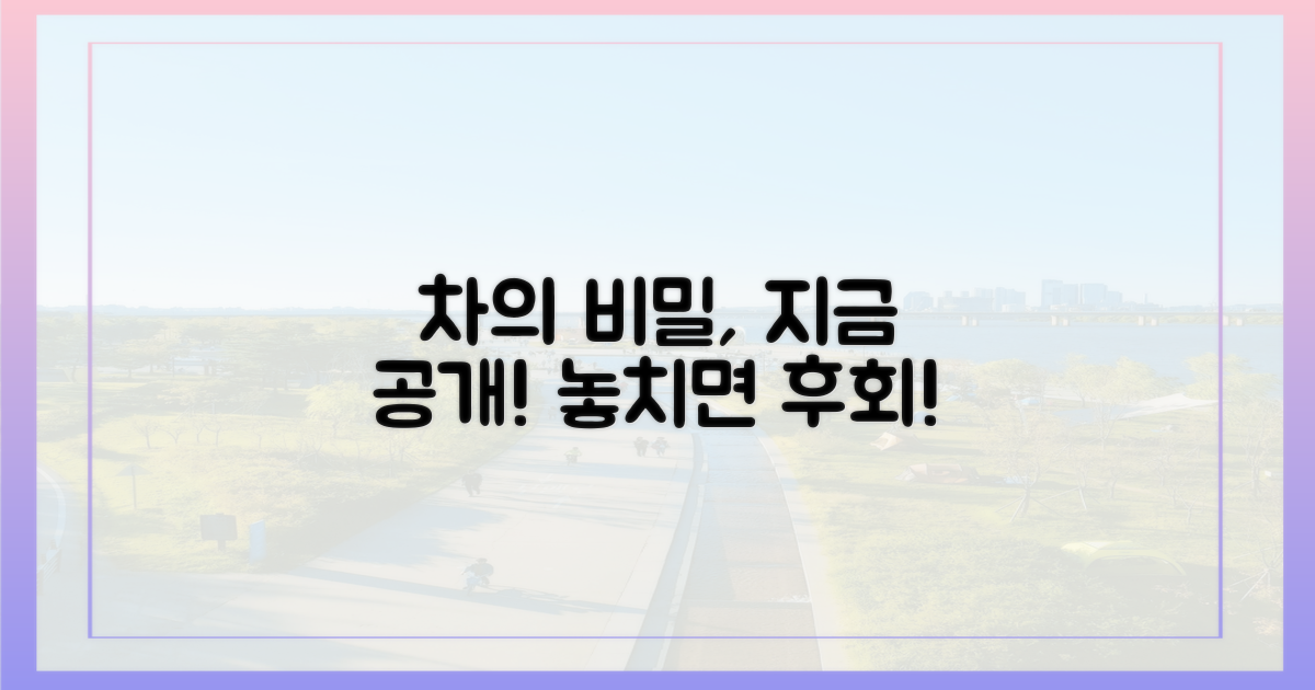 차의 마을, 매력은 무엇일까?