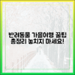 반려동물 가을여행 완벽 가이드: 행사·편의시설 꿀팁