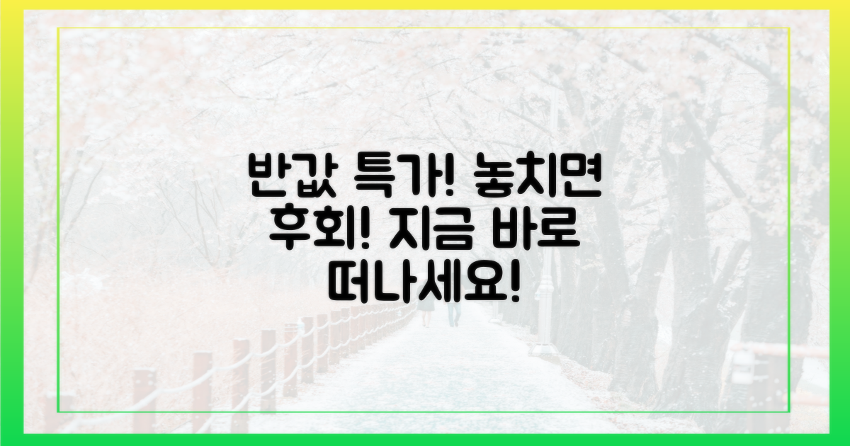 반값으로 떠나세요!