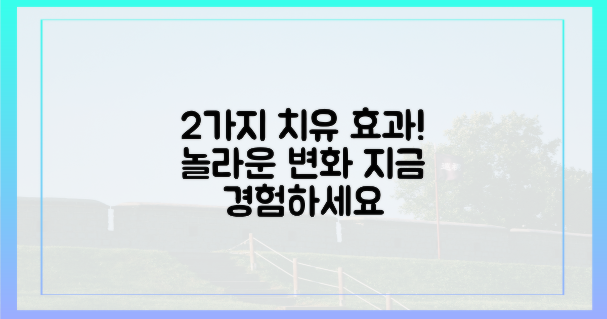 2가지 치유 효과