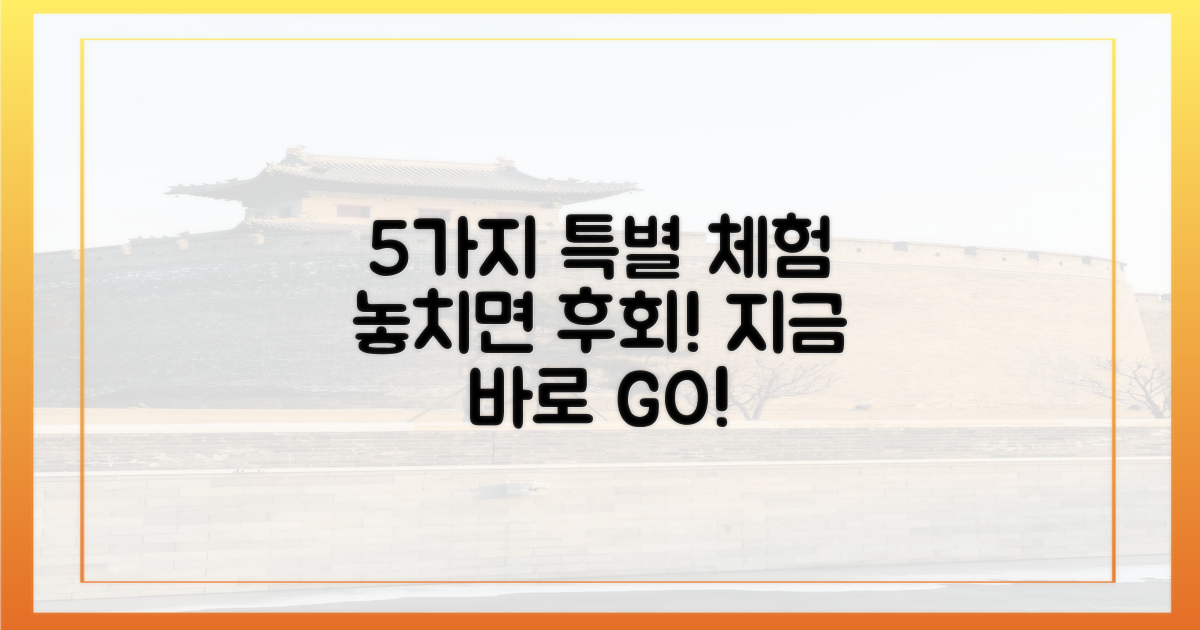 5가지 특별 체험