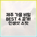 여긴 진짜 처음 본다!" 제주 가을 비밀 여행지 BEST 4