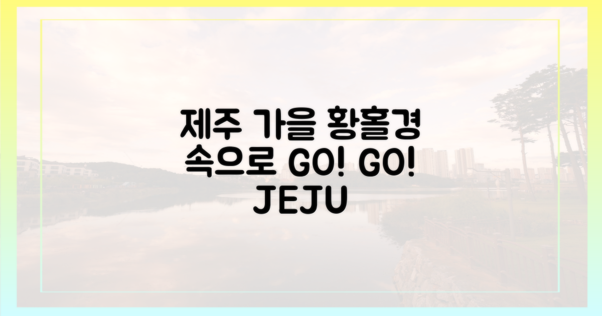 제주 가을, 만끽하세요!