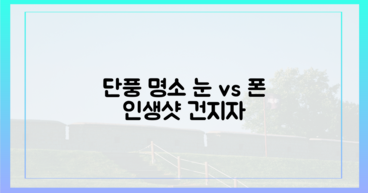 단풍 명소, 눈으로 vs 사진으로