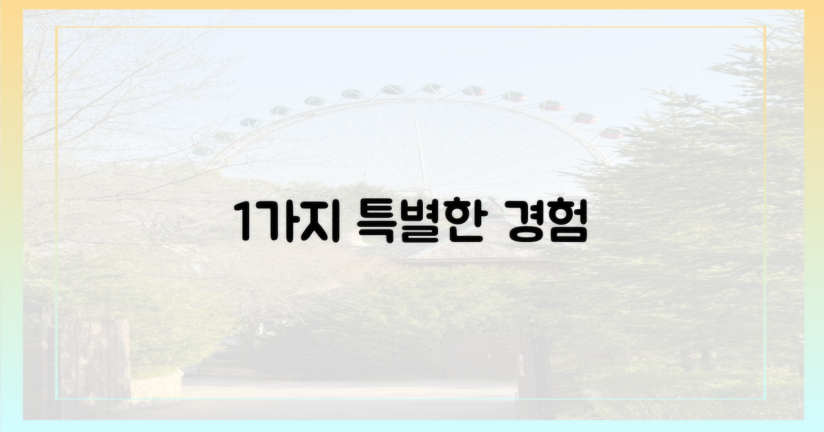 1가지 특별한 경험