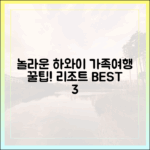 놀라운 하와이 가족여행! 리조트 3곳 추천