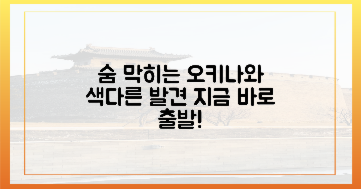 색다른 오키나와 탐험