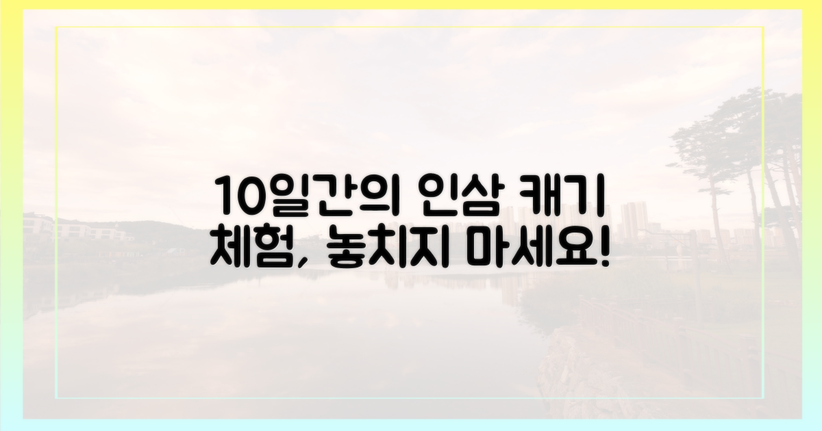 10일간의 인삼 캐기 체험