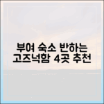 초보도 반하는 고즈넉한 부여숙소 4곳
