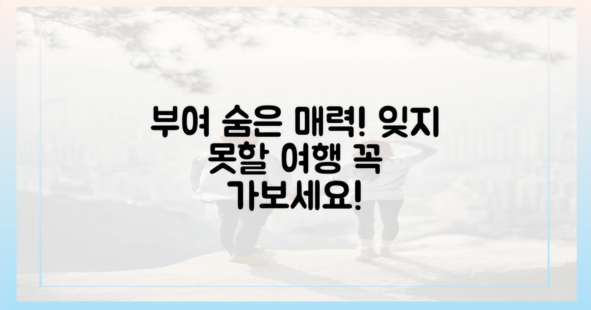 부여의 숨은 매력 발견