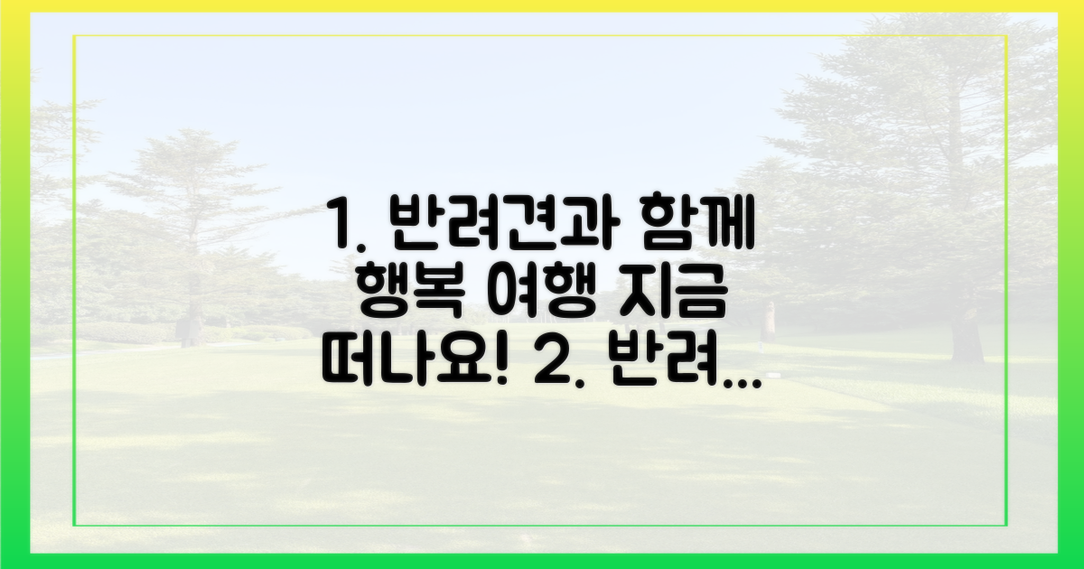 반려견과의 행복 여행, 지금 시작하세요