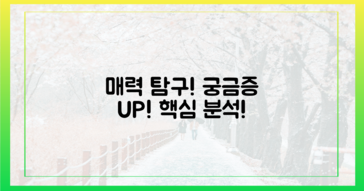 어떤 매력을 가지고 있을까?