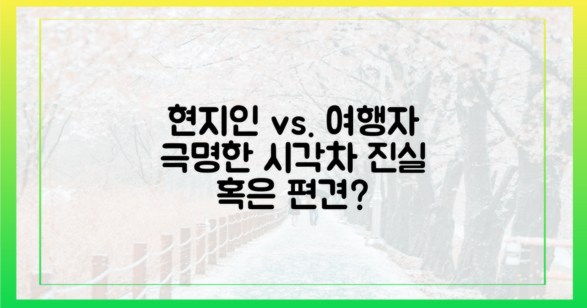 현지인 vs. 여행자 시점