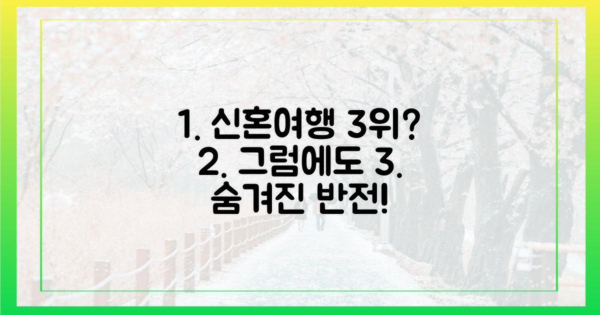 신혼여행지 3위"와 "그럼에도"의 아이러니