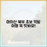 초보자도 즐겨요! 마이산 북부 특별 먹거리 여행