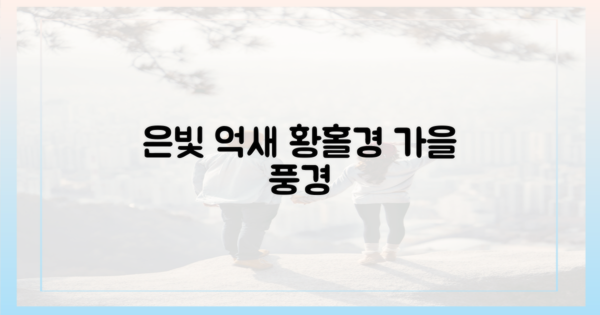 은빛 억새를 만나세요