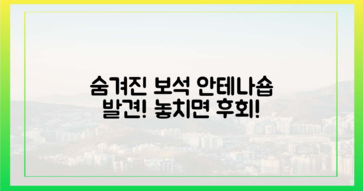 숨겨진 보석, 안테나숍 발견!