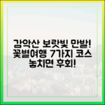 거창 감악산 ‘온통 보랏빛’ 꽃별여행 7가지 코스