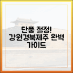 단풍 절정! 강원·경북·제주 완벽 가이드