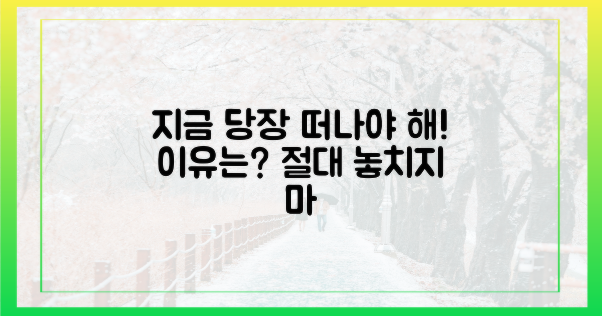 지금 당장 떠나야 하는 이유?