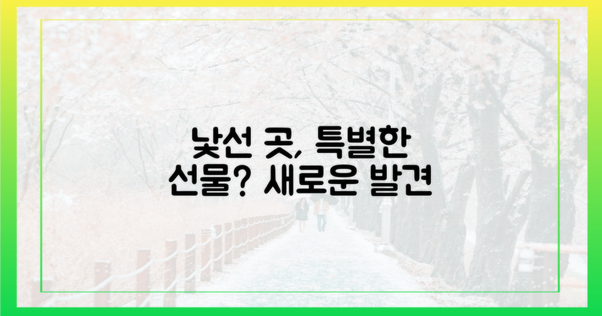 낯선 곳이 주는 특별한 선물?